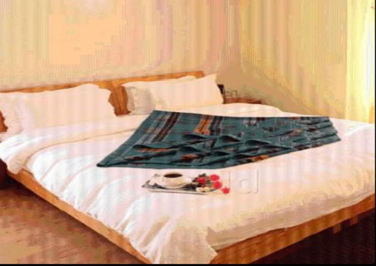 Hotel Om Ladakh Λεχ Εξωτερικό φωτογραφία